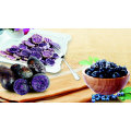 Chinese Fresh Purple Yam for Exporting